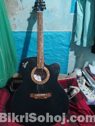 Guitar